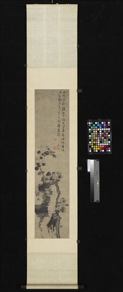 明徐渭菊石　軸