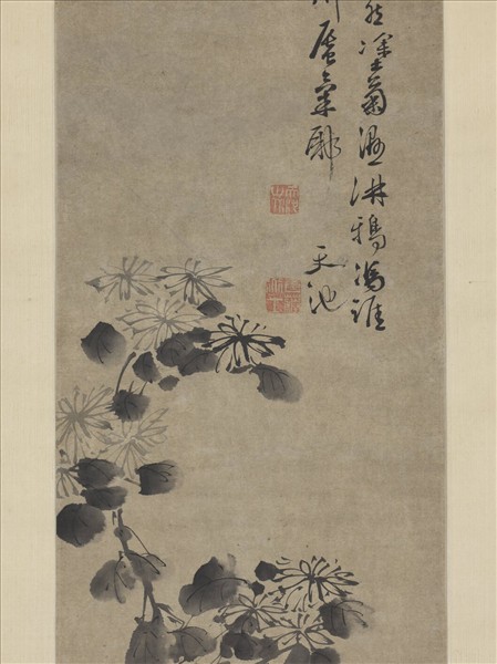 明徐渭菊石　軸