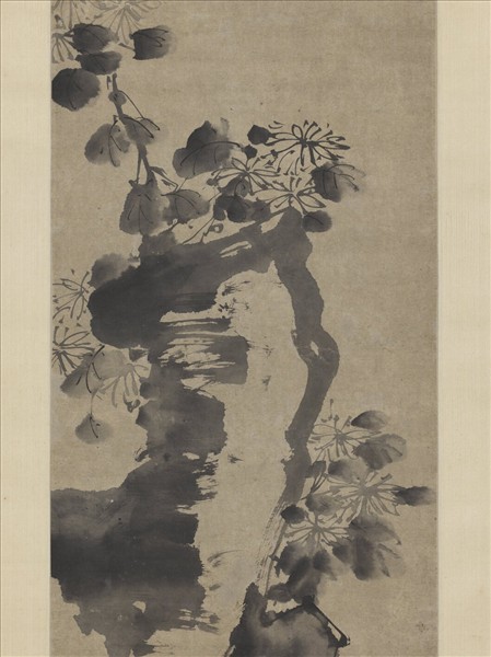 明徐渭菊石　軸