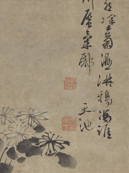 明徐渭菊石　軸