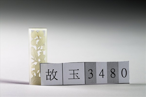 玉魚龍花草紋帶飾