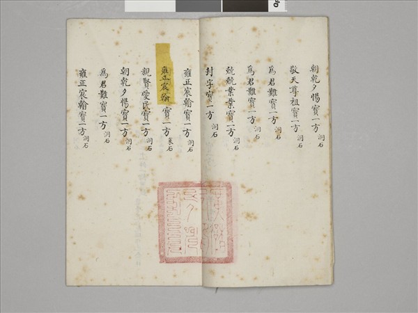 鬥彩福壽紋龍耳瓶