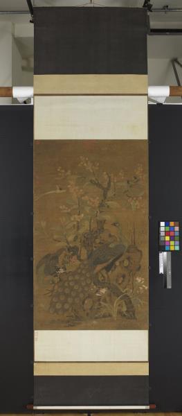 宋崔白畫枇杷孔雀　軸