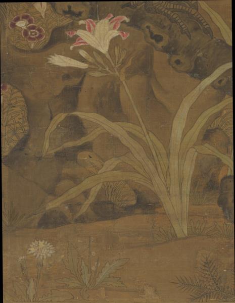 宋崔白畫枇杷孔雀　軸