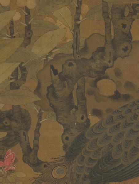 宋崔白畫枇杷孔雀　軸