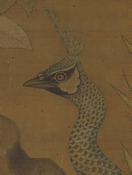 宋崔白畫枇杷孔雀　軸