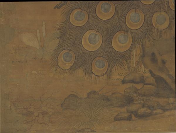 宋崔白畫枇杷孔雀　軸