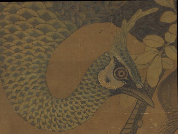 宋崔白畫枇杷孔雀　軸