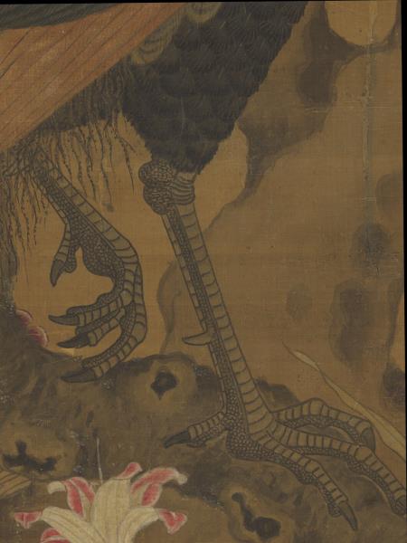 宋崔白畫枇杷孔雀　軸