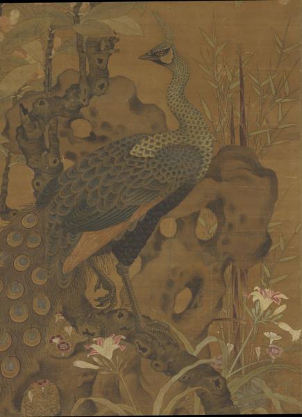 宋崔白畫枇杷孔雀　軸