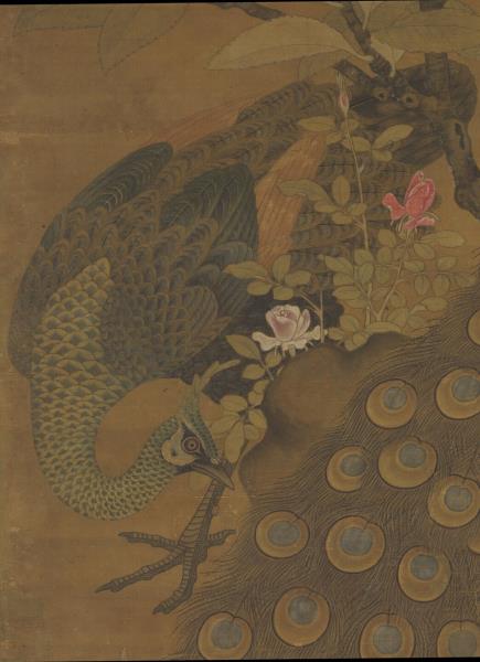 宋崔白畫枇杷孔雀　軸