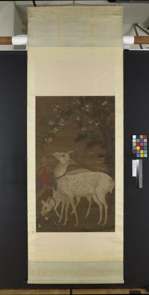 宋人壽鹿圖　軸