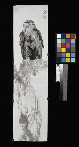 民國楊善深古木蒼鷹　未裱