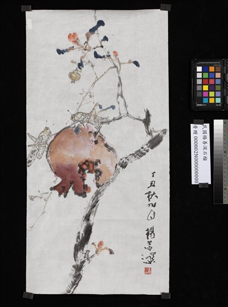 民國楊善深石榴　未裱