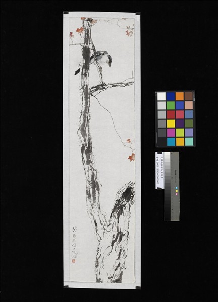 民國楊善深紅葉伯勞　未裱