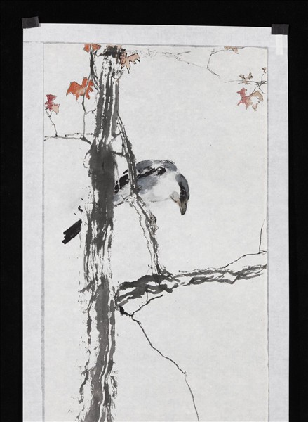 民國楊善深紅葉伯勞　未裱