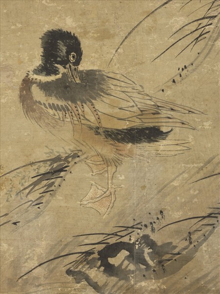 明王維烈蓉塘秋鴨圖　軸