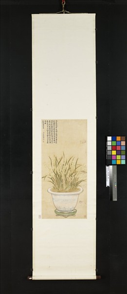 清蔣檙盆蘭　軸