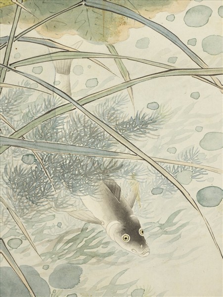 清沈煥蓮塘魚戲　軸