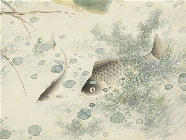 清沈煥蓮塘魚戲　軸