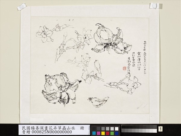 民國楊善深畫花卉草蟲山水　寫於漳州水仙田
