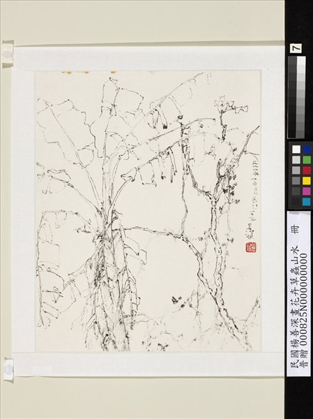 民國楊善深畫花卉草蟲山水　芭蕉