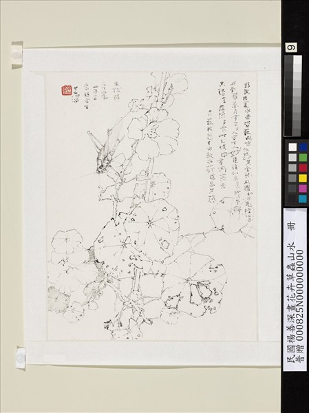 民國楊善深畫花卉草蟲山水　金錢葵