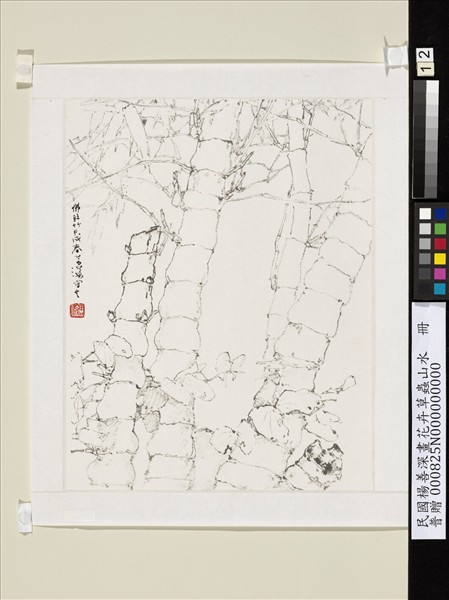 民國楊善深畫花卉草蟲山水　佛肚竹