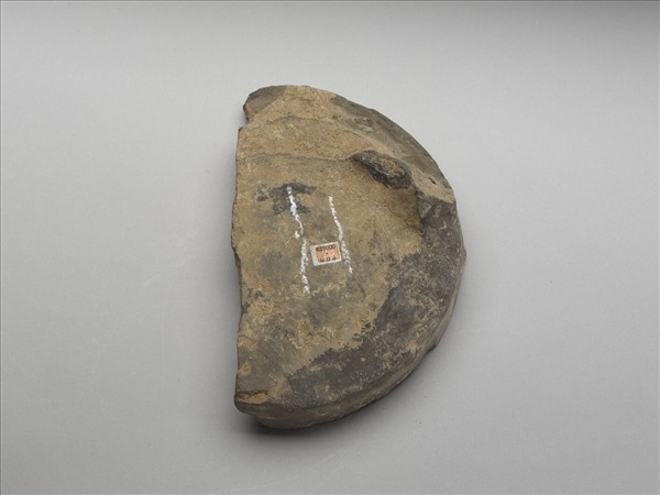 花卉紋瓦當殘片