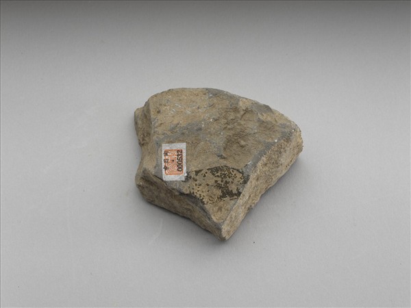 花卉紋瓦當殘片