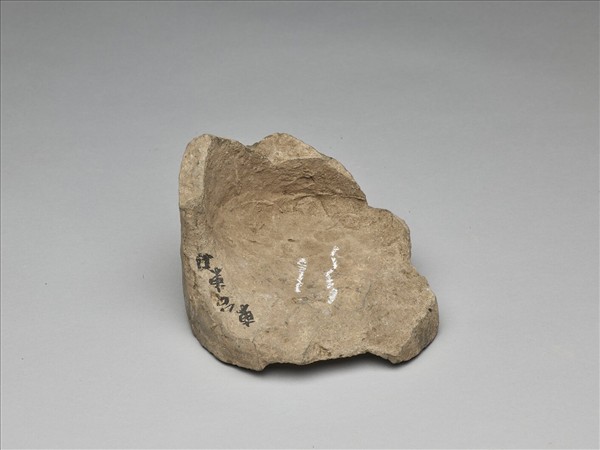 花卉紋瓦當殘片