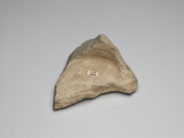 花卉紋瓦當殘片