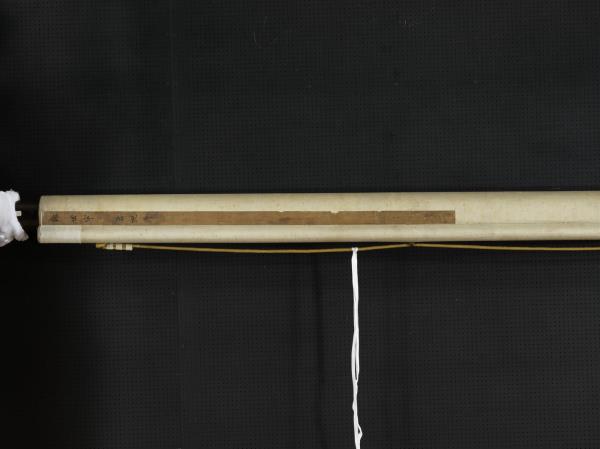 清郎世寧畫十駿犬蒼猊犬　軸