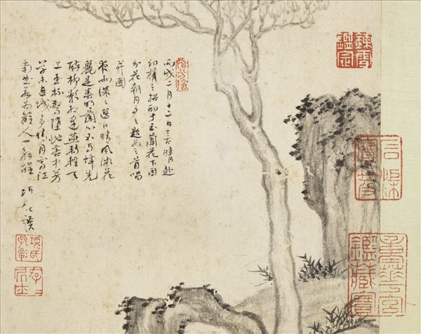 明項聖謨寫生　冊　玉蘭