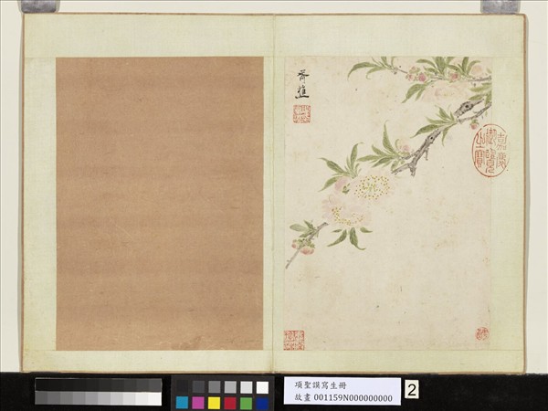 明項聖謨寫生　冊　碧桃花