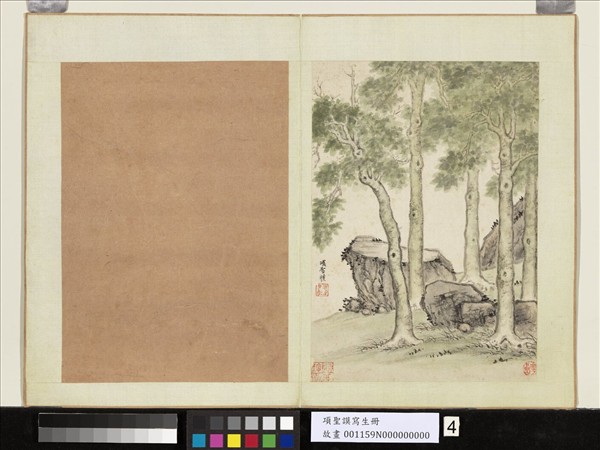 明項聖謨寫生　冊　青桐