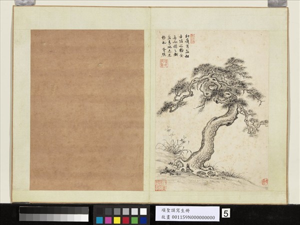 明項聖謨寫生　冊　古松