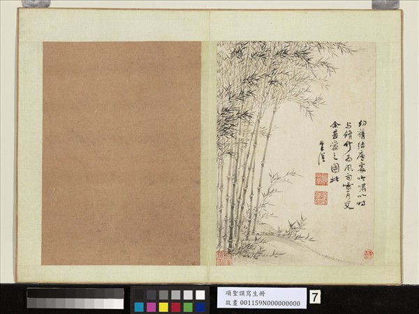 明項聖謨寫生　冊　竹