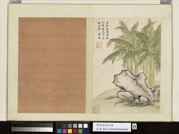 明項聖謨寫生　冊　蕉