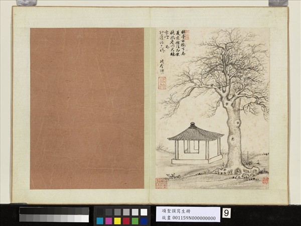 明項聖謨寫生　冊　秋林亭子