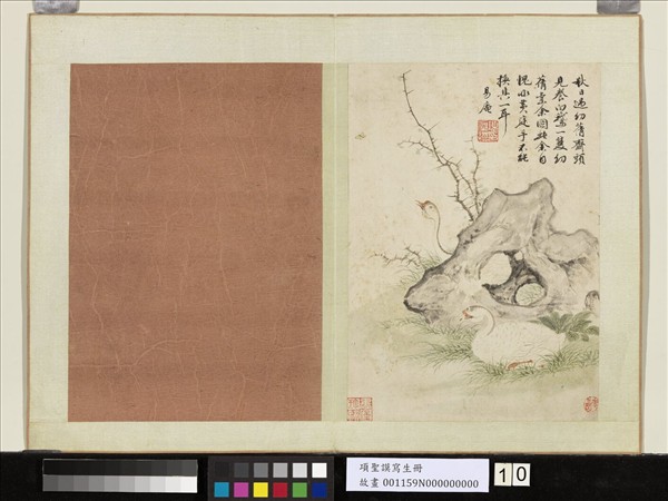 明項聖謨寫生　冊　白鵝