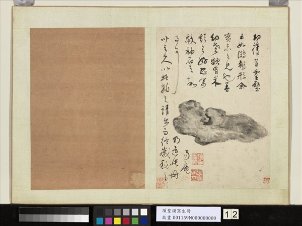 明項聖謨寫生　冊　靈璧石