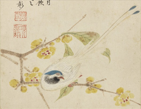 明項聖謨寫生　冊　蠟梅練雀