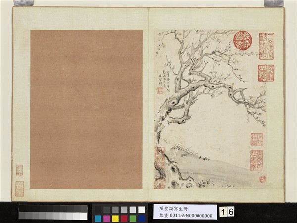 明項聖謨寫生　冊　梅花