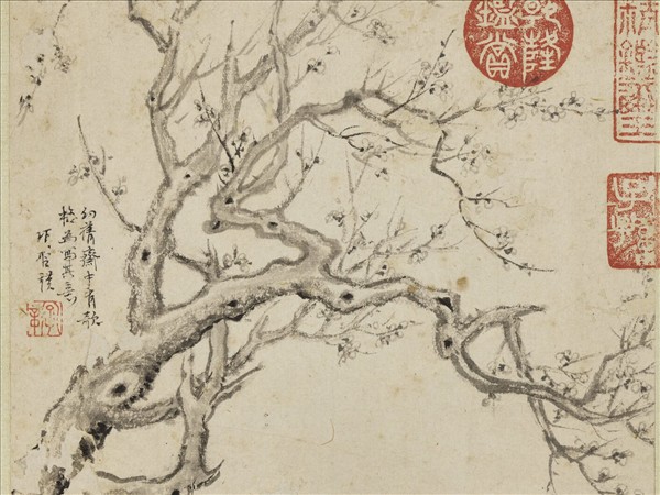 明項聖謨寫生　冊　梅花