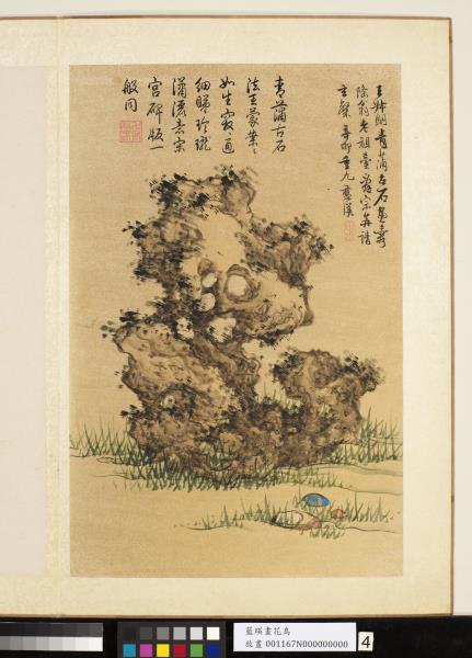 明藍瑛畫花鳥　冊　湖石菖蒲