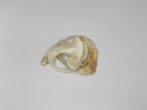 玉凌宵花與蝴蝶