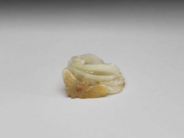 玉凌宵花與蝴蝶