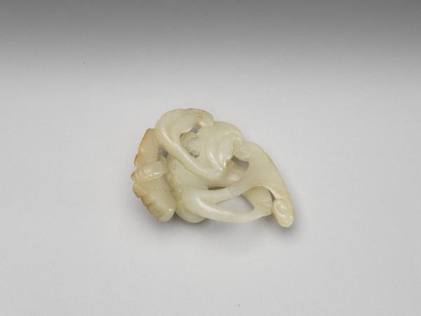 玉凌宵花與蝴蝶