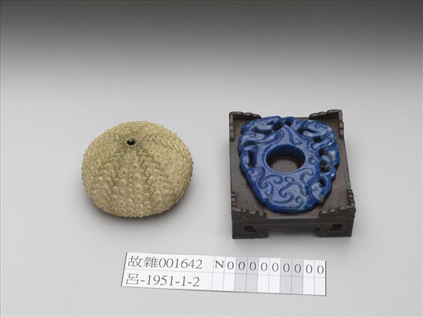 芮氏刻肋海膽標本與青金石韘形佩